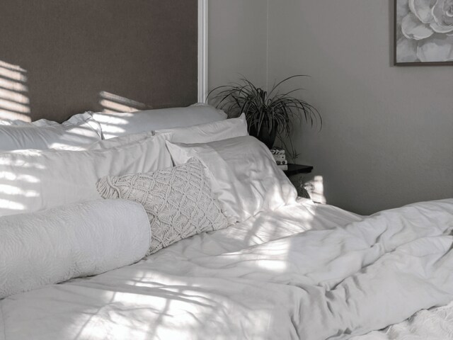 Cotton Duvet Covers in 